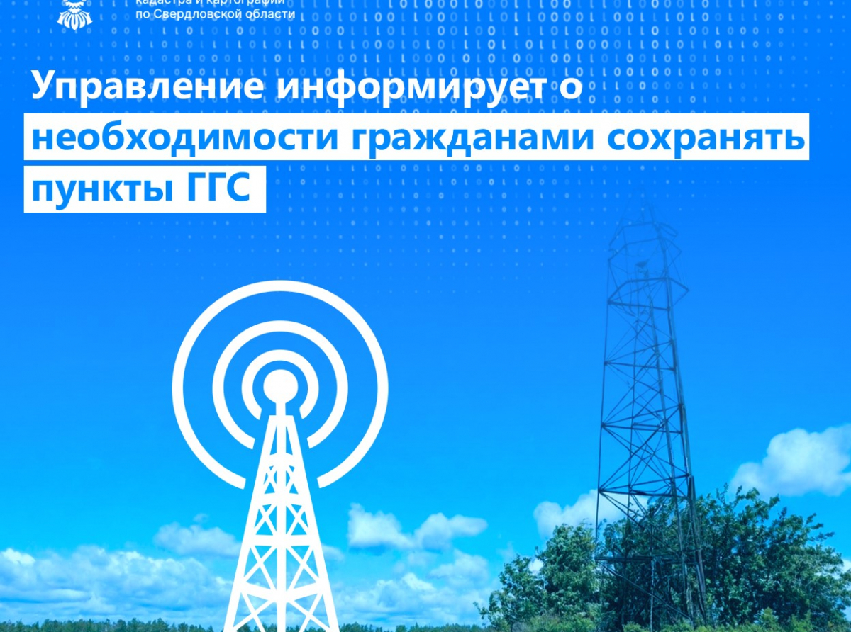 Фото предоставлено автором